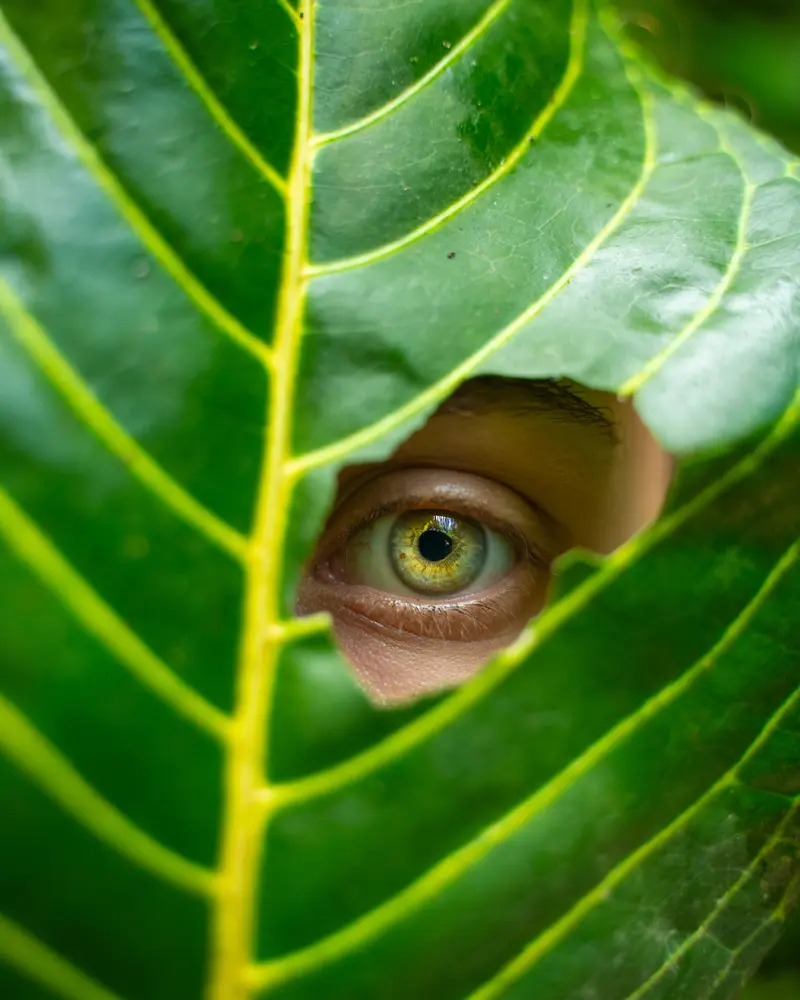 Lo sguardo di Noemi tra le foglie tropicali